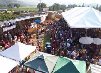 Learn Solar (and So Much More) From the Pros